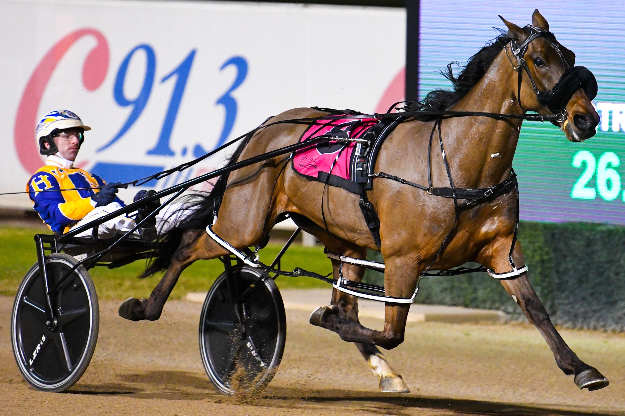 Ronnie on track for Eureka as Menangle lights up